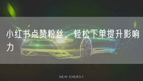 小红书点赞粉丝，轻松下单提升影响力