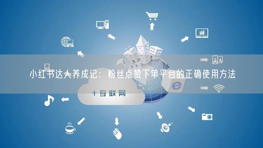 小红书达人养成记：粉丝点赞下单平台的正确使用方法