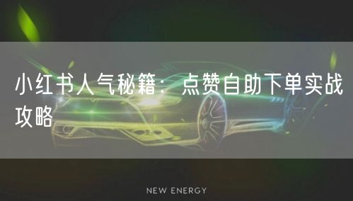 小红书人气秘籍：点赞自助下单实战攻略