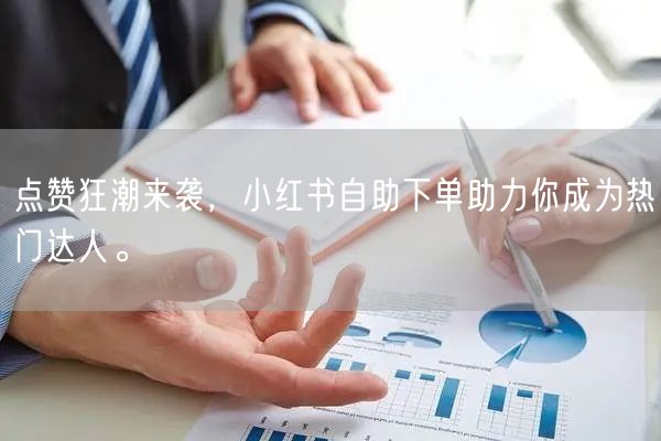 点赞狂潮来袭，小红书自助下单助力你成为热门达人。