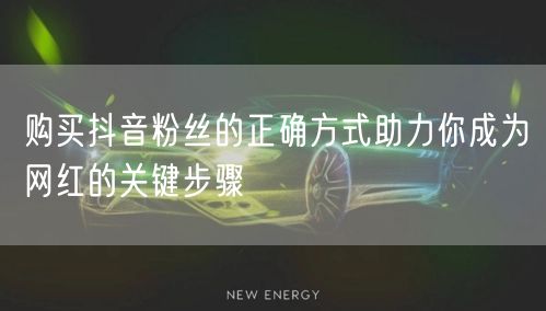 购买抖音粉丝的正确方式助力你成为网红的关键步骤