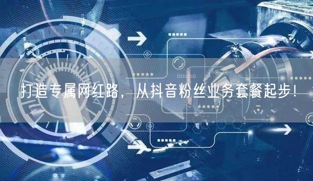 打造专属网红路，从抖音粉丝业务套餐起步！
