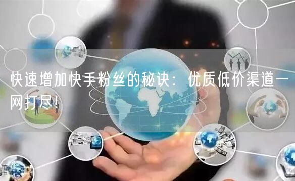 快速增加快手粉丝的秘诀：优质低价渠道一网打尽！