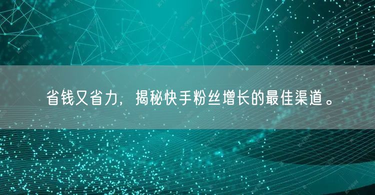 省钱又省力，揭秘快手粉丝增长的最佳渠道。