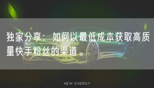 独家分享：如何以最低成本获取高质量快手粉丝的渠道。