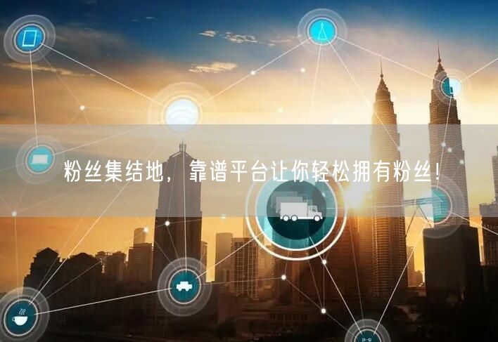 粉丝集结地，靠谱平台让你轻松拥有粉丝！