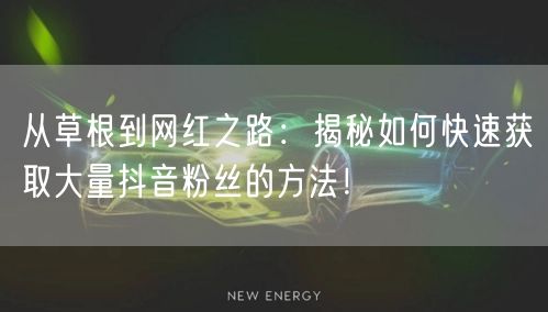 从草根到网红之路：揭秘如何快速获取大量抖音粉丝的方法！