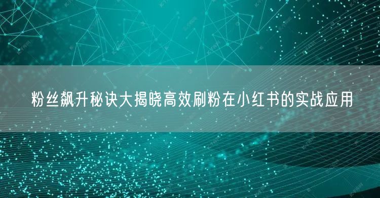 粉丝飙升秘诀大揭晓高效刷粉在小红书的实战应用