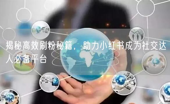 揭秘高效刷粉秘籍，助力小红书成为社交达人必备平台