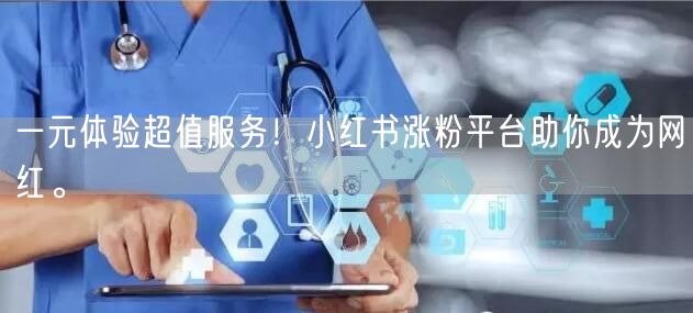 一元体验超值服务！小红书涨粉平台助你成为网红。