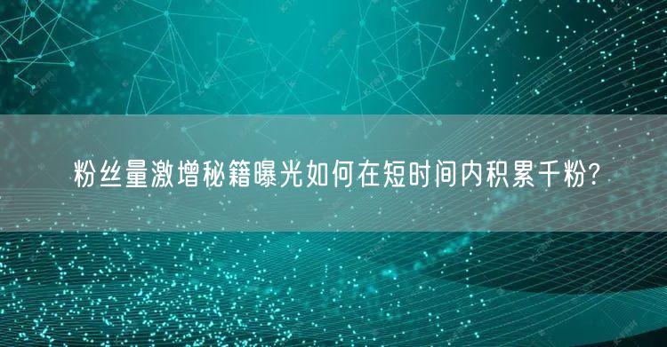 粉丝量激增秘籍曝光如何在短时间内积累千粉?