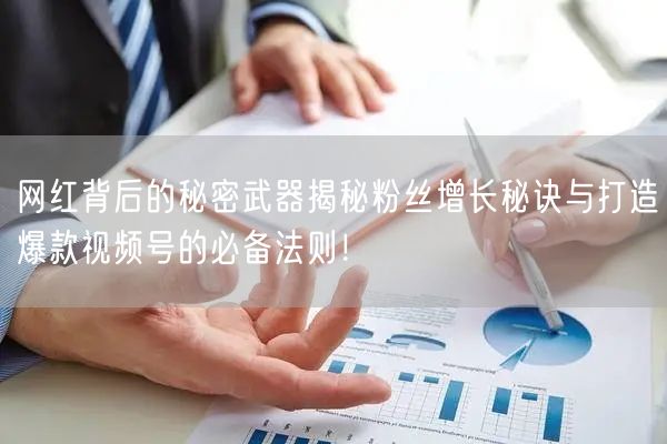 网红背后的秘密武器揭秘粉丝增长秘诀与打造爆款视频号的必备法则！