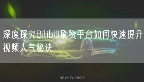 深度探究Bilibili刷赞平台如何快速提升视频人气秘诀