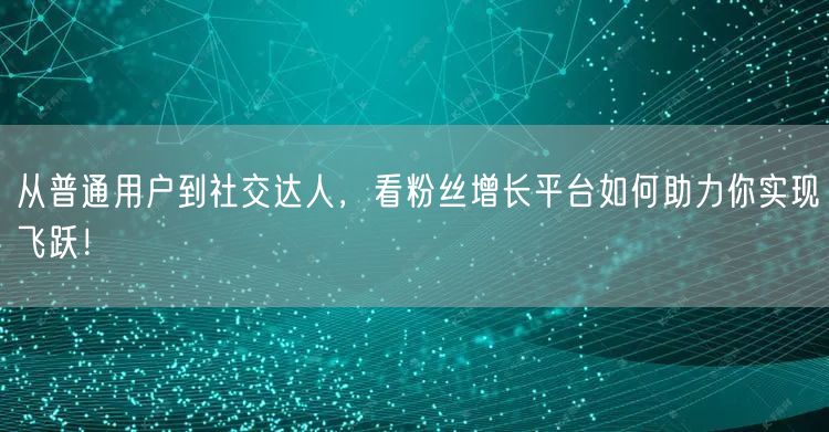 从普通用户到社交达人，看粉丝增长平台如何助力你实现飞跃！