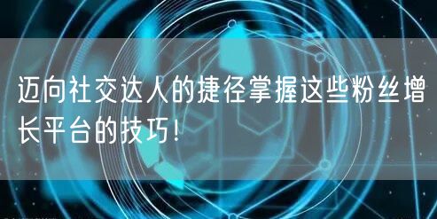 迈向社交达人的捷径掌握这些粉丝增长平台的技巧！