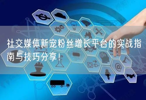 社交媒体新宠粉丝增长平台的实战指南与技巧分享！
