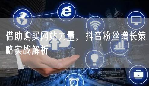 借助购买网站力量，抖音粉丝增长策略实战解析