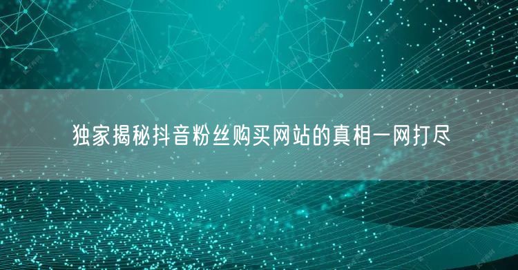 独家揭秘抖音粉丝购买网站的真相一网打尽