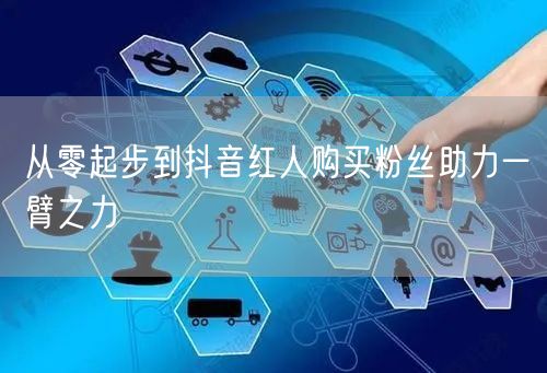 从零起步到抖音红人购买粉丝助力一臂之力