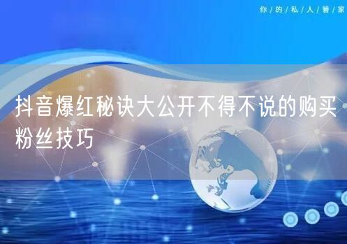 抖音爆红秘诀大公开不得不说的购买粉丝技巧