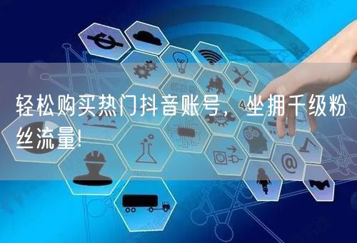 轻松购买热门抖音账号，坐拥千级粉丝流量!