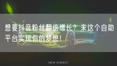 想要抖音粉丝翻倍增长？来这个自助平台实现你的梦想！