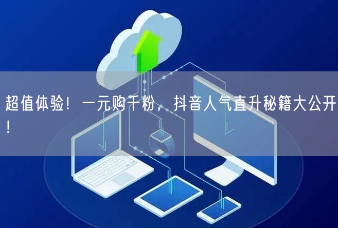 超值体验！一元购千粉，抖音人气直升秘籍大公开！