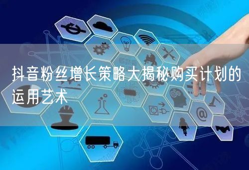 抖音粉丝增长策略大揭秘购买计划的运用艺术